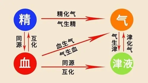 养生：赤龙搅天池——身体里的“养生圣物”！